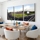 The Duke University Blue Devils Football Team Print - Durham