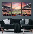 Oregon State Beavers Football Team Print - Corvallis Reser by MyGreatCanvas | Canvas Wall Art Prints | Photo Prints & Wall Decor
