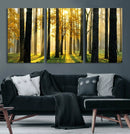 Sunlit Forest Wall Art Canvas Print – Large Framed Woodland