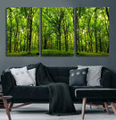 Lush Green Forest Canvas Print | 3-Panel Forest Wall Art |