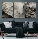 Elephant Wall Art Canvas Print
