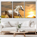 Large Wall Art Galloping White Horse at Sunset Canvas Print by MyGreatCanvas | Canvas Wall Art Prints | Photo Prints & Wall Decor
