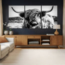 Black and White Scottish Cow Canvas Wall Art Highland Cattle