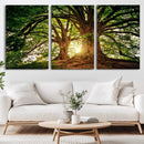 Majestic Ancient Tree Wall Art, NatureCanvas Print, Woodland by MyGreatCanvas | Canvas Wall Art Prints | Photo Prints & Wall Decor
