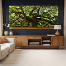 Angel Oak Tree Wall Art Canvas Print | Forest Tree Nature