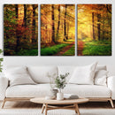 Sunlight Through Trees Wall Art Canvas Print - Autumn Forest