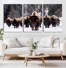Bison Wall Art Canvas Print- Bison Herd Canvas Wall Art –