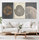 Boho Tree Ring Wall Art, Modern Minimalist Wood Grain