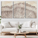 Tree Ring Wall Art Triptych, Rustic Wood Ring Canvas Print,