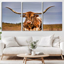 Texas Longhorn Wall Art Print, Framed Longhorn Cow Wall Art