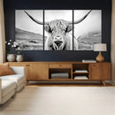 Scottish Cow Wall Art Canvas Print