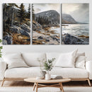 Serene Coastal View of Acadia National Park - Stunning