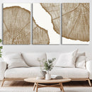 Rustic Brown Tree Ring Wall Art Canvas Print – Framed and