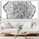 Rustic Tree Ring Wall Art Canvas Print – Framed and Ready to
