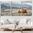 Highland Cow Horn Farm Wall Art Canvas Print