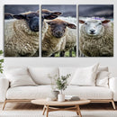Charming Sheep Portrait Wall Art – Trio of Woolly Companions by MyGreatCanvas | Canvas Wall Art Prints | Photo Prints & Wall Decor