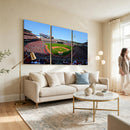 Cincinnati Reds Baseball Canvas Print - American Ball