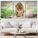 Leopard on the Prowl - Stunning Large Framed Leopard Wall