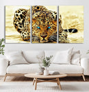 Blue-Eyed Leopard Canvas Wall Art - Framed Animal Print