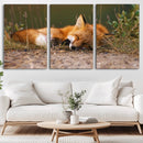 Sleeping Fox Wall Art Canvas Print, Farmhouse Wall Decor and