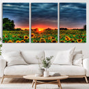 Golden Sunflower Field at Sunset – Breathtaking Sky and