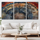 Abstract Tree Ring Wall Art, Colorful Framed Tree Ring Wall