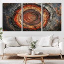 Wood Grain Canvas Wall Art - Framed Abstract Tree Ring