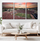 Indiana Memorial Stadium Wall Art Canvas Print, Framed