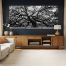 Black and White Old Angel Oak Tree Wall Art Canvas Print