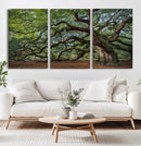 Historic Tree Wall Art – Framed Mossy Branch Canvas Artwork, by MyGreatCanvas | Canvas Wall Art Prints | Photo Prints & Wall Decor