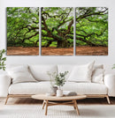 Majestic Oak Tree Wall Art Canvas Print – Ancient Branches by MyGreatCanvas | Canvas Wall Art Prints | Photo Prints & Wall Decor