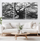 Ancient Oak Wall Art Canvas Print, Majestic Twisted Branches by MyGreatCanvas | Canvas Wall Art Prints | Photo Prints & Wall Decor