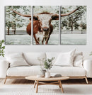 Texas Longhorn Wall Art Canvas Print – Framed Spotted Bull