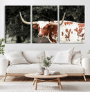 Texas Longhorn Wall Art Canvas Print – Framed Spotted Bull