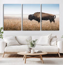 Wild Bison Wall Art – Framed Prairie Landscape Canvas by MyGreatCanvas | Canvas Wall Art Prints | Photo Prints & Wall Decor