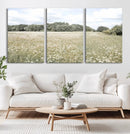 Charming Daisy Field Wall Art Canvas Print – Framed Pastel