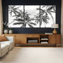 Black and White Palm Wall Art Canvas Print – Framed