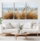 Beach Grass Wall Art – Framed Coastal Dunes Canvas Artwork, by MyGreatCanvas | Canvas Wall Art Prints | Photo Prints & Wall Decor