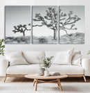 Joshua Tree Wall Art Canvas Print – Framed Black White