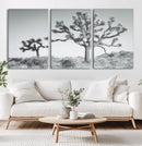Joshua Trees Wall Art Canvas Print – Framed Black White