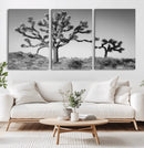 Joshua Tree Wall Art Canvas Print – Framed Monochrome Desert