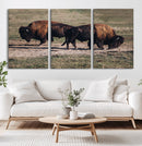 Bison Wall Art Canvas Print – Framed Western Wildlife Modern by MyGreatCanvas | Canvas Wall Art Prints | Photo Prints & Wall Decor
