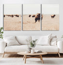 Bison Herd Wall Art Canvas Print – Framed Western Prairie by MyGreatCanvas | Canvas Wall Art Prints | Photo Prints & Wall Decor