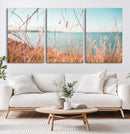 Coastal Grass Landscape Wall Art Canvas Print – Golden