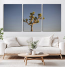 Joshua Tree Wall Art Canvas Print – Framed Southwestern