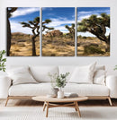Joshua Tree Desert Wall Art Canvas Print – Framed