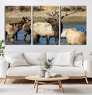 Wild Elk Wall Art Canvas Print – Framed Neutral Wildlife
