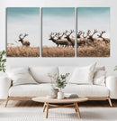Elk Herd Wall Art Canvas Print – Framed Wildlife Photography