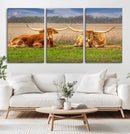 Texas Longhorn Pair Wall Art Canvas Print – Peaceful Rustic by MyGreatCanvas | Canvas Wall Art Prints | Photo Prints & Wall Decor