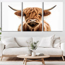 Scottish Highland Cow Canvas Print, Framed Highland Cow